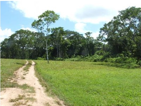 near Belmopan City, Cayo, Belize near Belmopan City, Cayo, Belize
