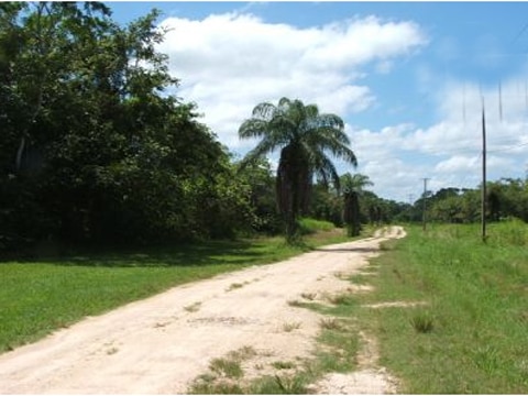 near Belmopan City, Cayo, Belize near Belmopan City, Cayo, Belize
