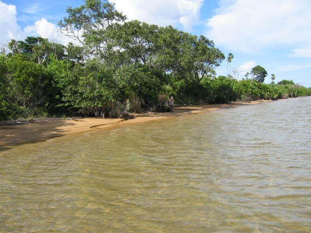 near Dangriga Town, Stann Creek District, Belize