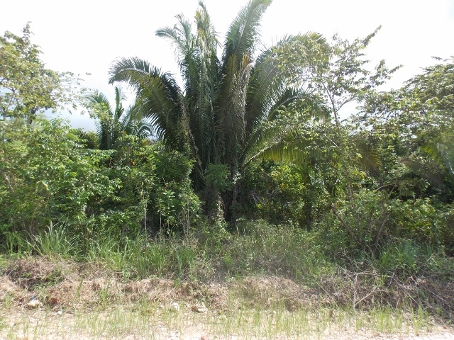 Belmopan City, Cayo District, Belize Belmopan City, Cayo District, Belize