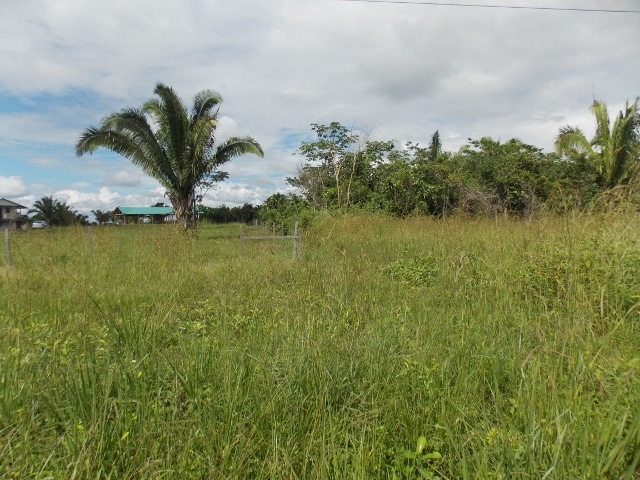 near Belmopan City, Cayo District, Belize near Belmopan City, Cayo District, Belize