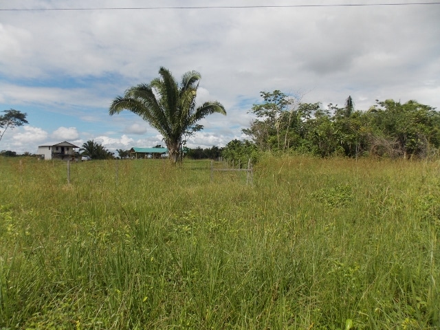 near Belmopan City, Cayo District, Belize near Belmopan City, Cayo District, Belize