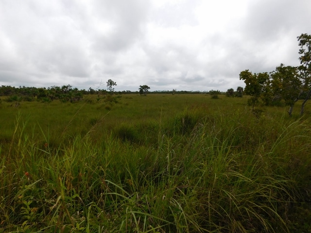 Hattieville, Belize District, Belize