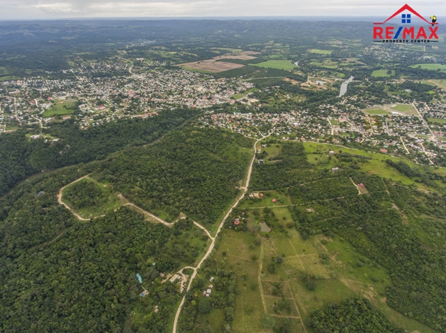 Belize Jungle Land For Sale