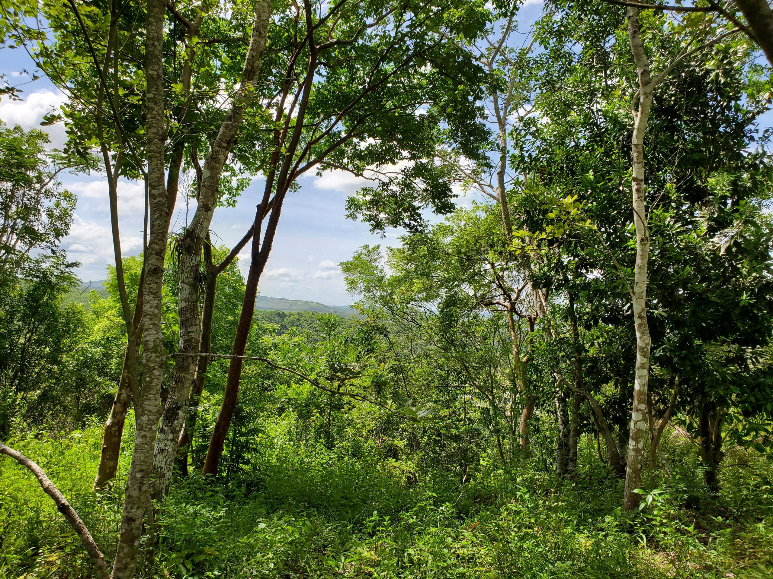 Cayo, Belize